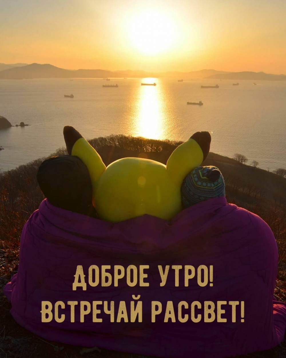  !  !