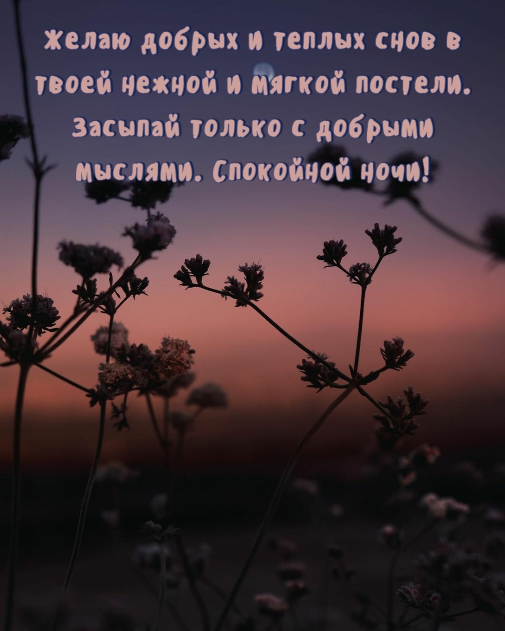  !     