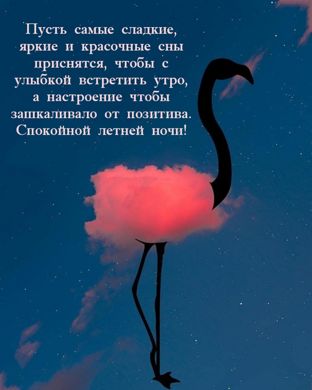   !