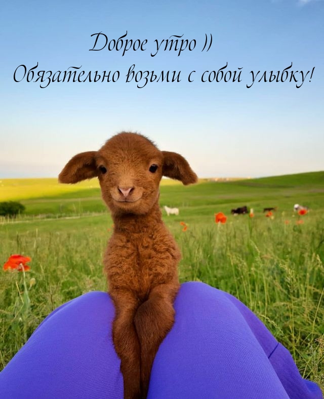   ))     !